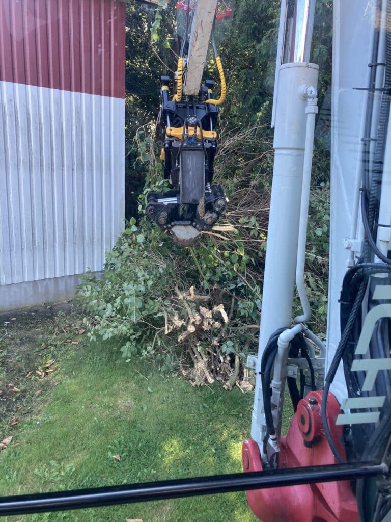 Tr&aelig;f&aelig;ldning n&aelig;r Nyk&oslash;bing Falster